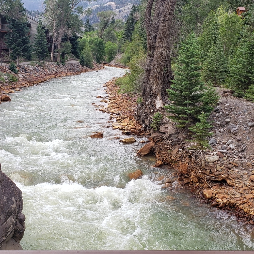 Meet your Posher, Crystal - Picture 12 of 16